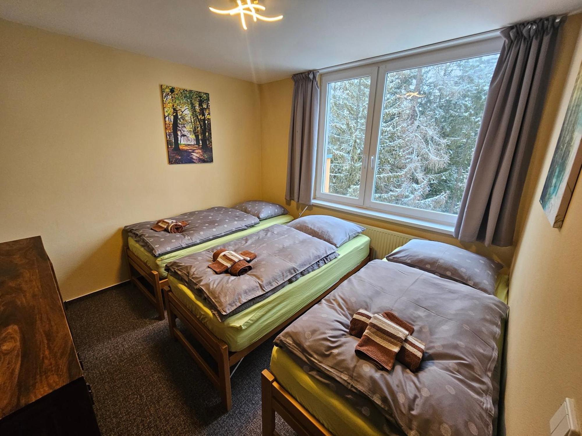 Strbske Pleso Smrek Penthouse Apartment Kültér fotó