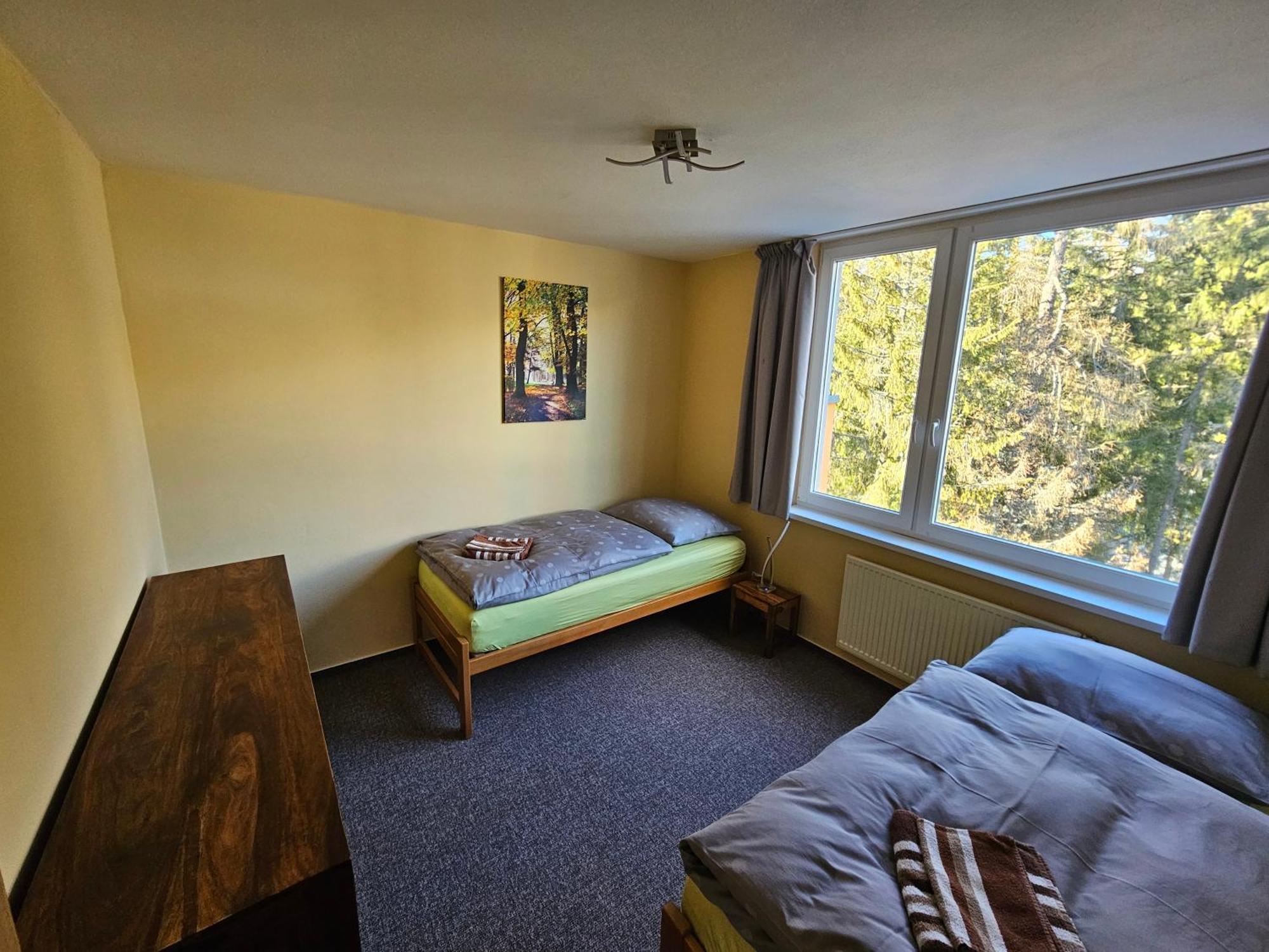 Strbske Pleso Smrek Penthouse Apartment Kültér fotó